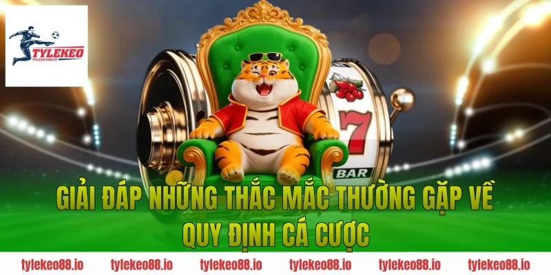 Giải Đáp Những Thắc Mắc Thường Gặp Về Quy Định Cá Cược